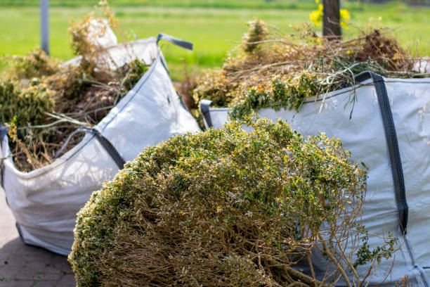 Best Basement Cleanout Services  in Solon, OH