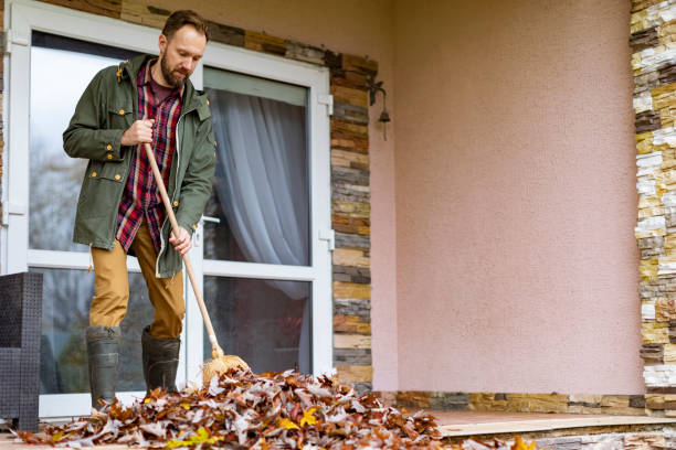 Best Furniture Removal Near Me  in Solon, OH